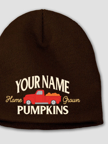 Pumpkins : Embroidered Beanies